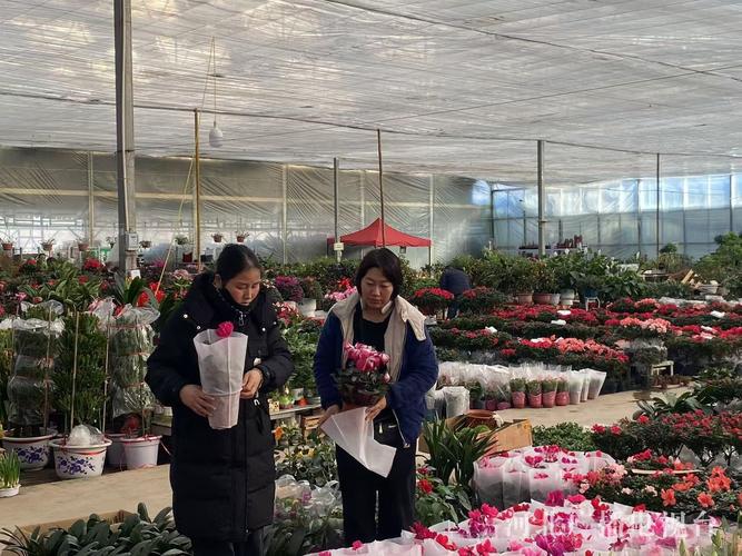 借力成熟渠道与花卉大厅，基地直供礼品花卉销售新路径