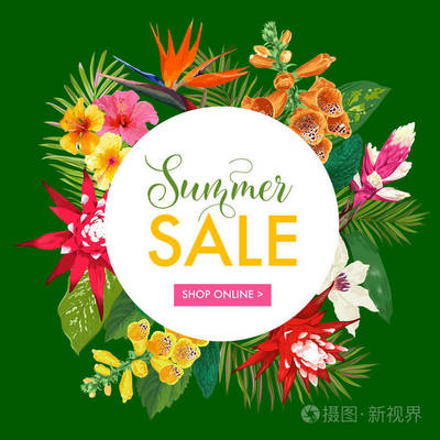 盛夏热带旗帜 异域花卉折扣，礼享缤纷季